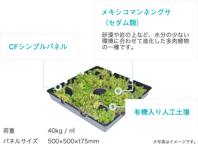 CFシンプルパレットシステムの概要図